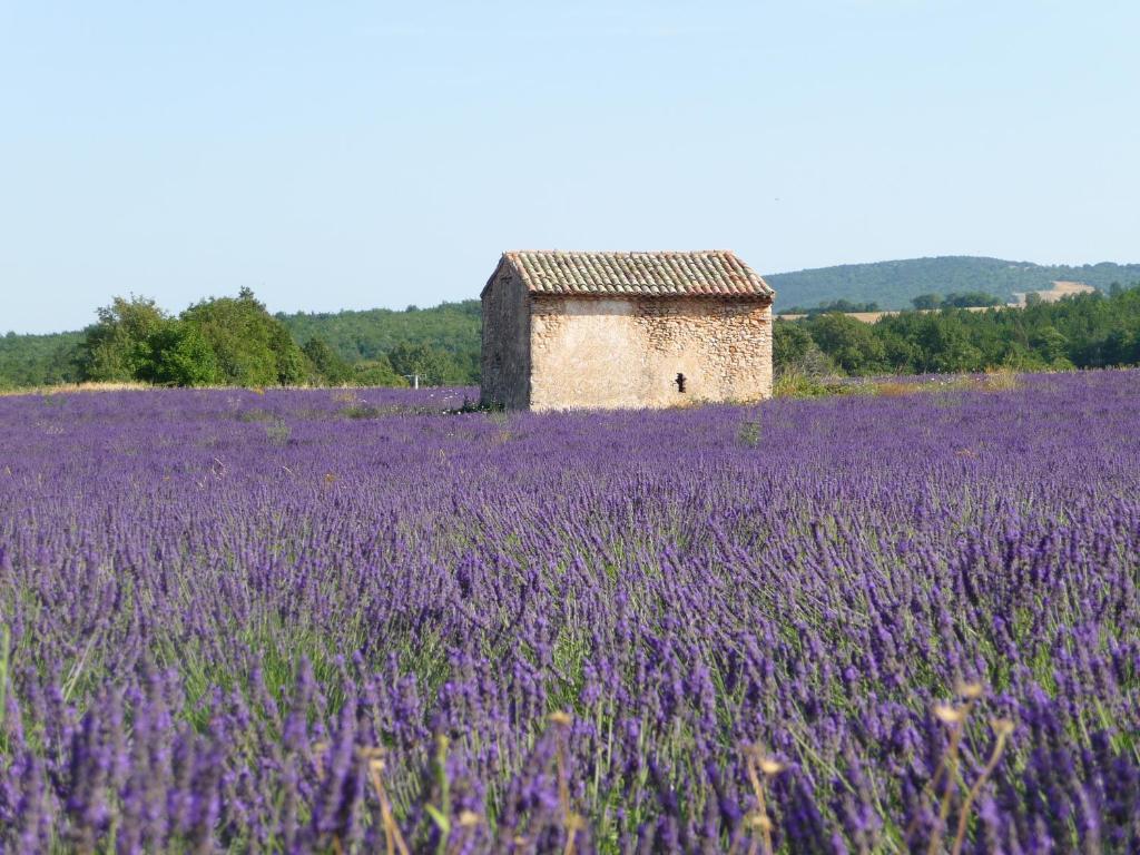Residence Les Peupliers Loriol-du-Comtat Exterior foto